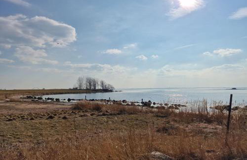 Haus-Fehmarn-am-Dorfteich-|-Wohnung-2-West - Foto 41