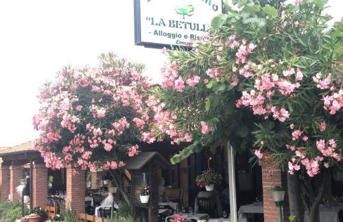 Agriturismo La Betulla - Photo 63