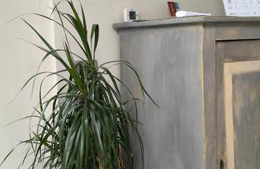 Villa Riva Lago - Apartment with parking - Photo 10