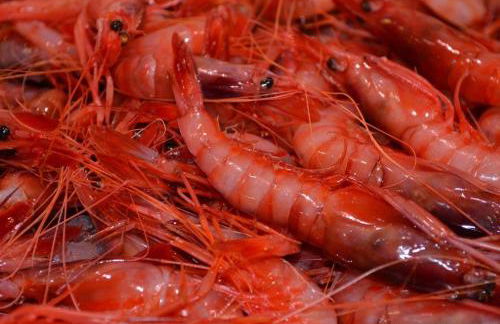 LOFT GARRUCHA CENTER - Foto 26