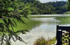 Zum Winzer - Foto 27