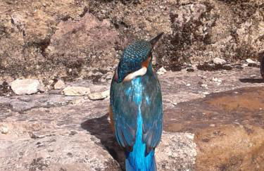 gîtes les 7 roches 6 couchages - Photo 60