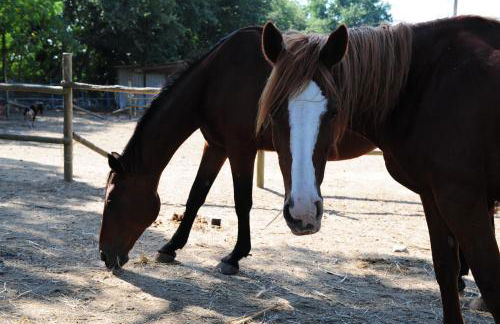 La Casa Colonica wine and oil - Foto 27