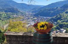 Ferienwohnung Annemarie - Foto 15