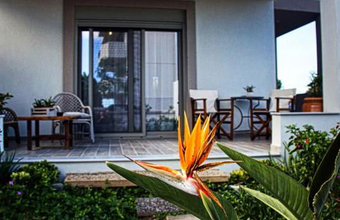 Easy Living 1 & 2 - Foto 15