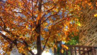 Archondiko Zafeiridi - Foto 2