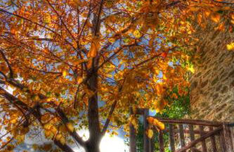 Archondiko Zafeiridi - Foto 2