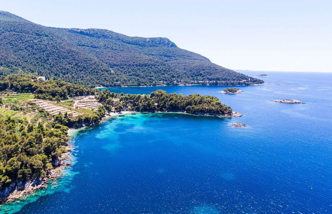 Apartments Dalmatin Zuljana - Studio Apartment 1 - Foto 21