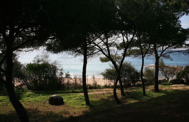 Villa Luisa - Photo 57