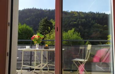 Grand T2 récent, confort 4*, vue superbe. - Foto 10