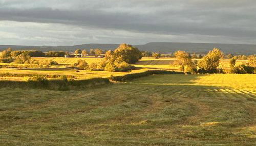 High Oak Holiday Cottage - Foto 2