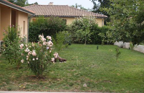 Le Rouge-gorge du Pescofi - Photo 7