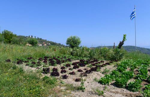 Villa Rosa - Foto 54