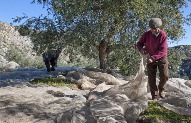 Las Chimeneas - Foto 44