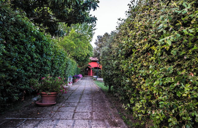 Agriturismo Niccoland - Foto 70