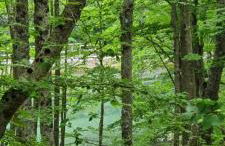 I Rifugi D'Abruzzo Una Valle di Luce - Foto 71