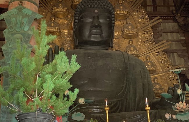 Traditional Guesthouse TONARI - Foto 28