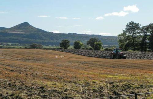 Horseshoe Cottage - Photo 13