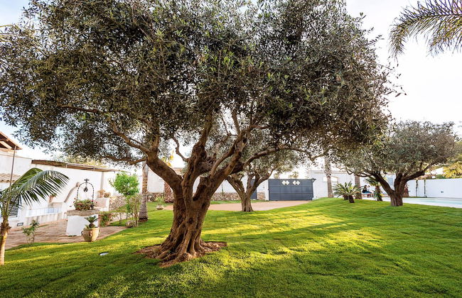 Casa Marsala 2 - Photo 25