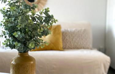 Studio 24m² Montpellier - Hôpitaux facultés Centre - Photo 20