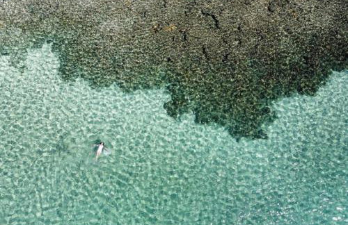 Mani Japaratinga - Foto 29