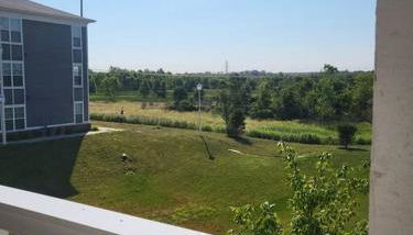 Luxury 1BR/1BA w/ Top Amenities in Prime Location - Foto 5