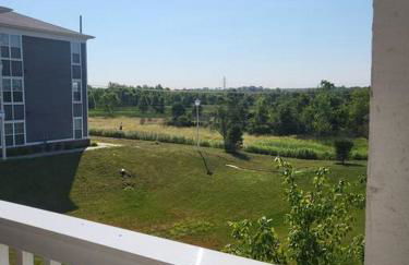 Luxury 1BR/1BA w/ Top Amenities in Prime Location - Foto 5