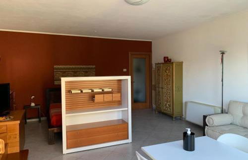 LAKE ORTA OPENSPACE garden beach - Photo 14