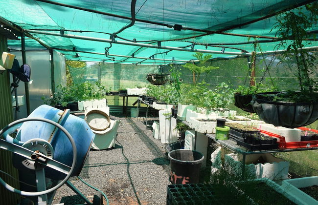 Little House in the Nursery - Foto 19