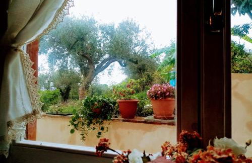 Villa Calcasacco - Foto 7