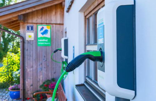 Ferien beim Baur - Foto 40