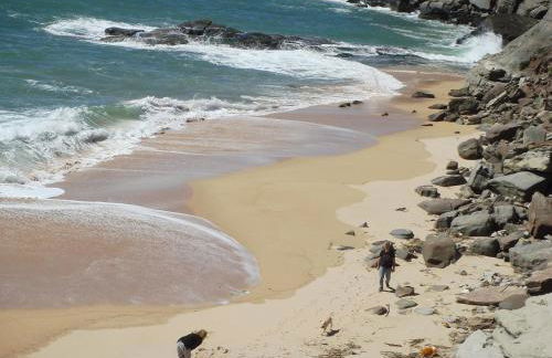 Campo de Oleandros - Foto 36