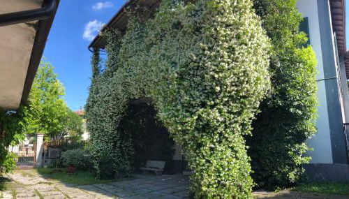 Appartamento Il Gelsomino - Foto 4, Garden