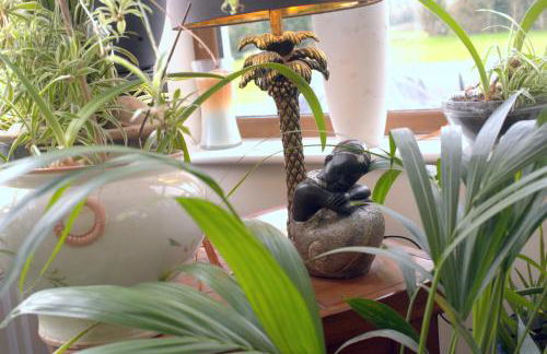 Knockalla luxury property with hot tub suitable for families - Foto 66