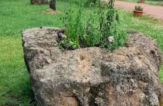 Le Chausse à Brès Chambre d'hôtes 2 - Foto 6