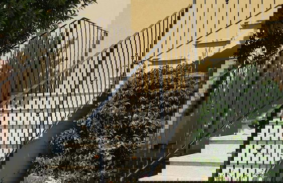 Agriturismo Podere Casa al Vento - Photo 57