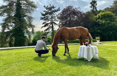 Domaine du Chesney - Foto 8