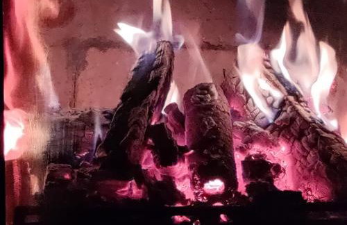 Widny Jaś zaprasza z psem nad jezioro na Kaszubach - Foto 4