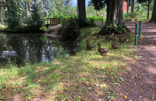 Słoneczne Apartamenty - Foto 61