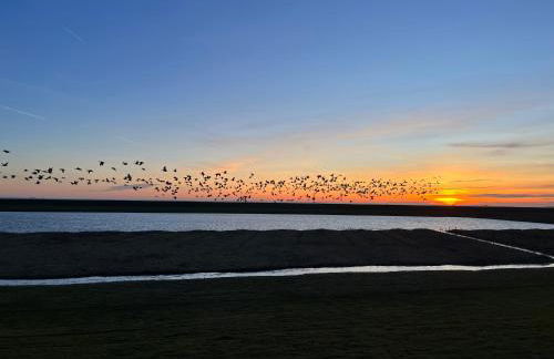 Hyggelig am Deich - Photo 25