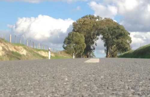 Abetarda CC - Foto 56