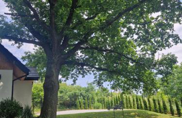 Dom wakacyjny Kubuś Wicko Ferienwohnung Misdroy Insel Ostsee - Foto 44