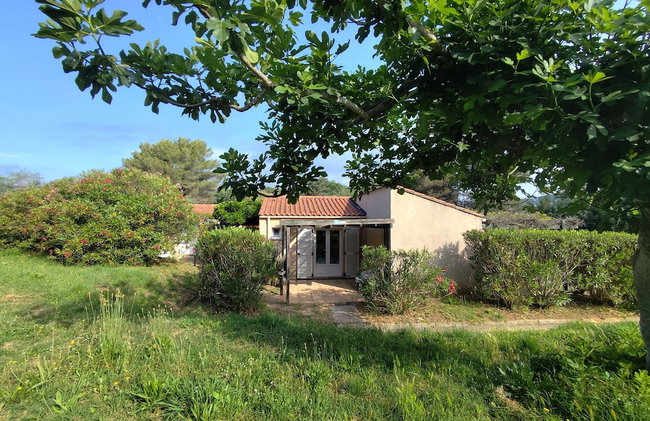 La Manne - Bormes les Mimosas - Foto 9