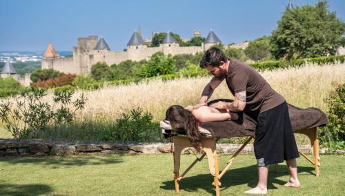 L'écrin de la Cité, Grand Panorama, vue unique sur les remparts de Carcassonne - Foto 3, Garden