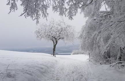 Sonnenschein am Rursee - Foto 13