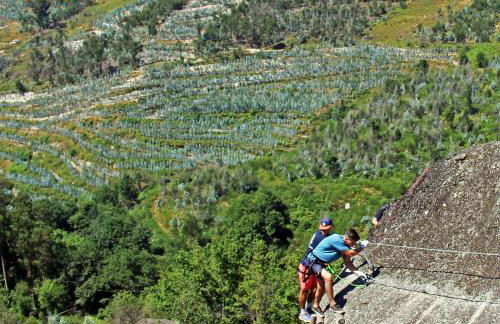 DiverLanhoso - Alojamento - Foto 39