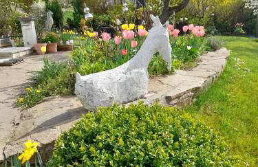 Ferienwohnungen Thomsen Bergdorf Pobershau - Foto 48