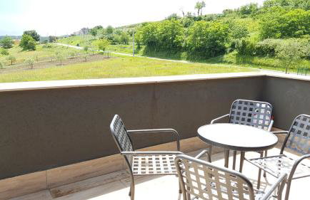 Art House Vižinada - Foto 17