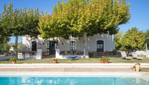 Finca Olivo Llorón - Foto 3, Garden, sunbed, Garden view