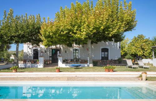 Finca Olivo Llorón - Foto 3